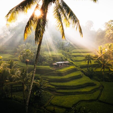 North Ubud Tour